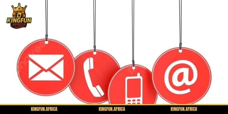 Email hỗ trợ được phân loại rõ ràng giúp phản hồi nhanh chóng